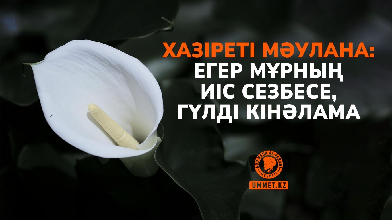 Хазіреті Мәулана: Егер мұрның иіс сезбесе, гүлді кінәлама