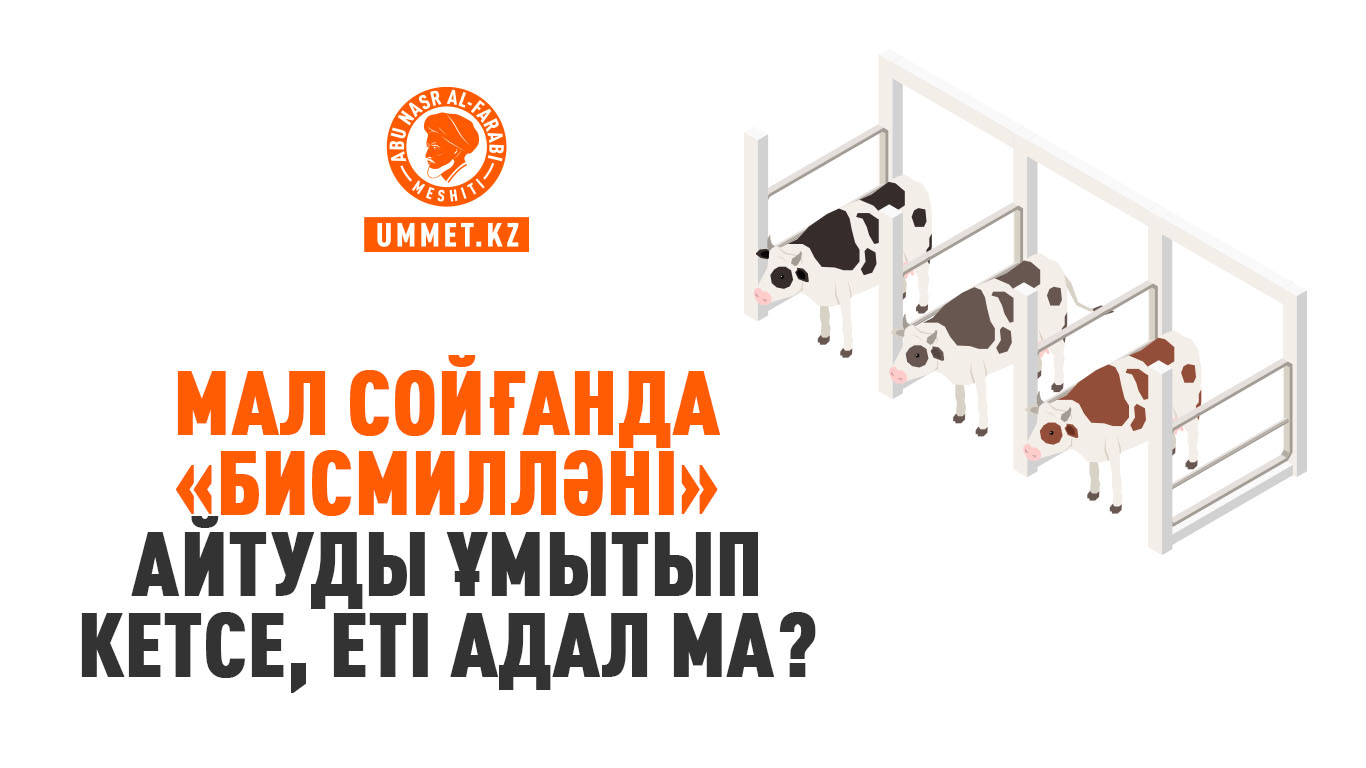 Толық метражды латекс порно фильмдерін онлайн көріңіз