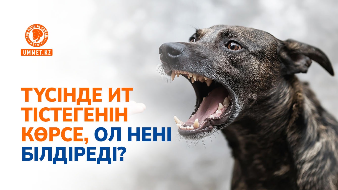 Түсінде ит тістегенін көрсе, ол нені білдіреді?