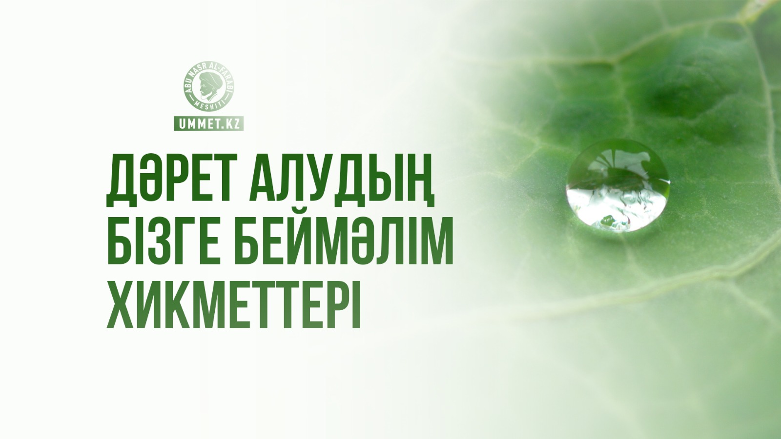 Сексуалды ана 46 жасында жүкті болады