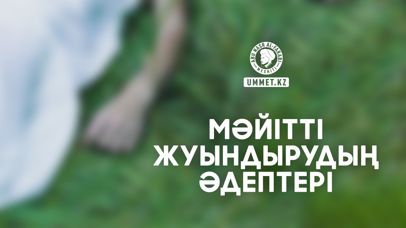 Әйелдер дәретханасының скриншоттарындағы жасырын камера