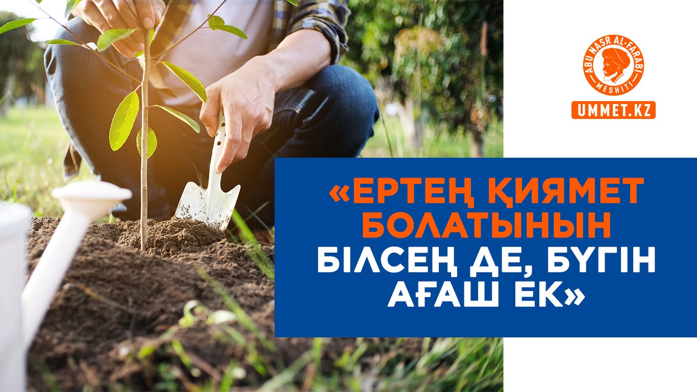 Ертең қиямет болатынын білсең де, бүгін ағаш ек