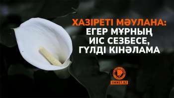 Хазіреті Мәулана: Егер мұрның иіс сезбесе, гүлді кінәлама