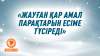 «Жауған қар амал парақтарын есіме түсіреді»